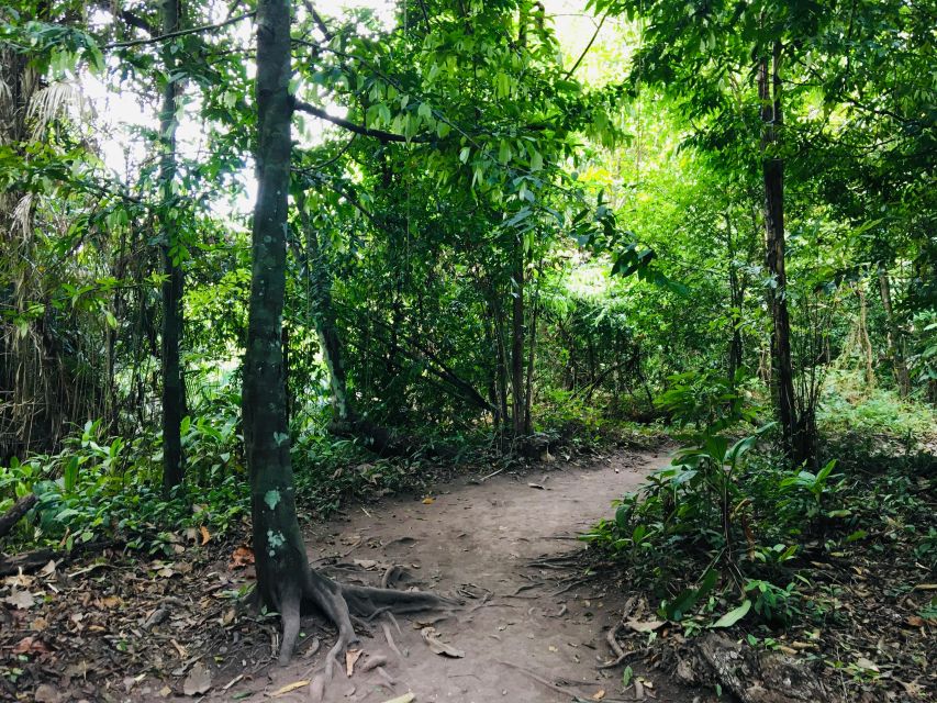 Krabi: Emerald Pool and Hot Springs Waterfall Half-Day Trip - The van ride from Krabi to the forest