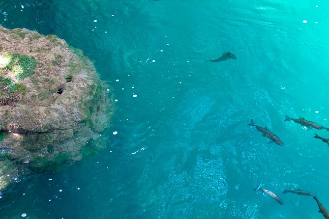 Krka Waterfalls Tour from Split with Boat Ride & Swimming - What the guides add to the day