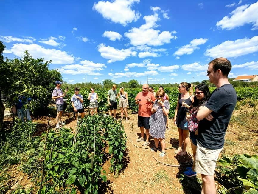 Krka waterfalls tour with lunch from Split - Should you book the Krka waterfalls tour?