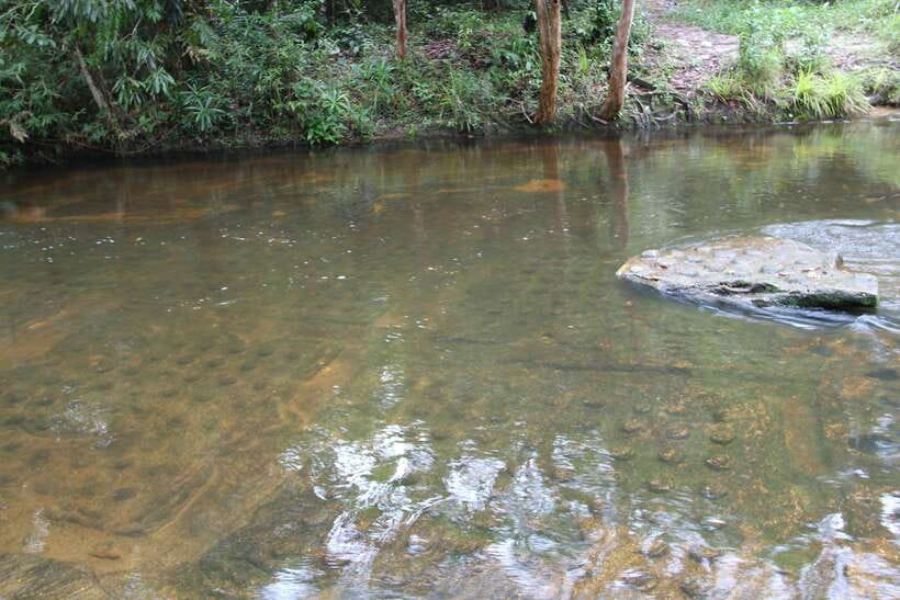 Kulen Mountain: Full-Day Private Waterfall Tour - Practical advice for a smoother six hours