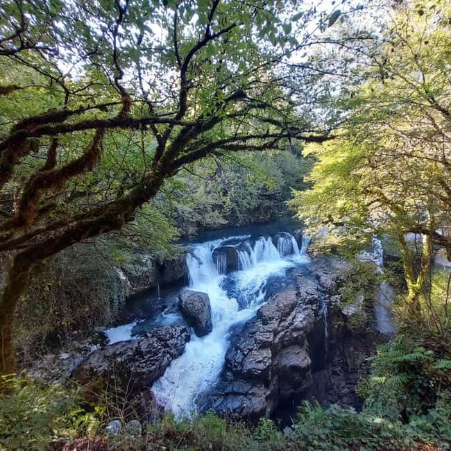 Kutaisi: Okatse-Martvili Canyons,Prometheus Cave, Waterfalls - Key points to know before you book