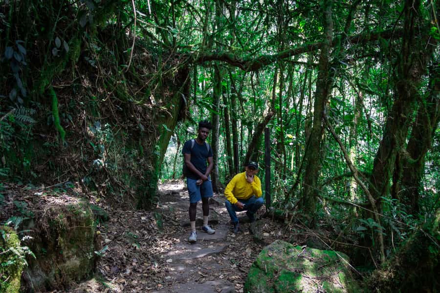 La Chorrera and Chiflon Waterfalls Private Hike Tour - La Chorrera: Colombia’s big waterfall