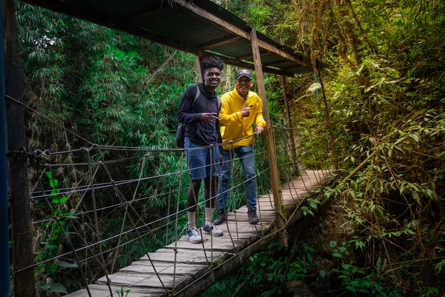La Chorrera and Chiflon Waterfalls Private Hike Tour - The cloud forest is the real companion