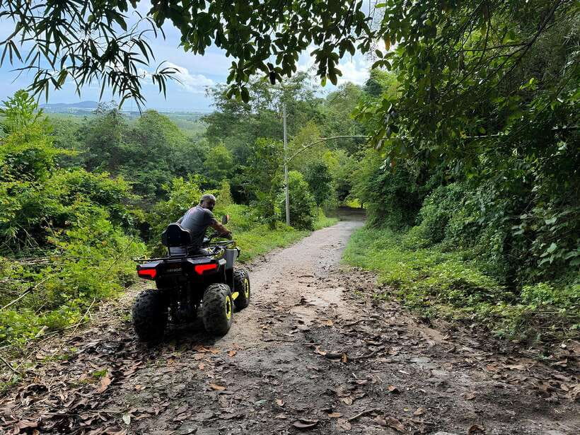 Langkawi ATV Mountain, Jungle and Waterfall - Paddy fields and rubber plantations