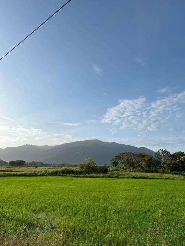 Langkawi: Countryside Bike Tour, Waterfall Swim & Dessert - Why the local guide makes a difference