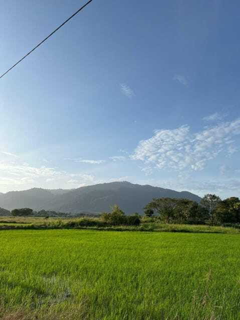 Langkawi: Countryside Bike Tour, Waterfall Swim & Dessert - What the $30 price really includes
