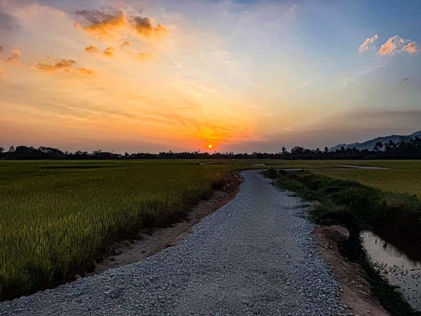 Langkawi Jungle and Waterfall Adventure (Golden Hour) - Rubber plantations and Langkawi’s island story