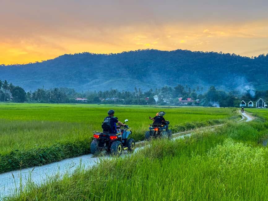Langkawi Jungle and Waterfall Adventure (Golden Hour) - The return route through paddy fields