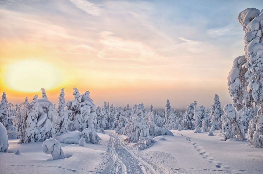Lapland: The Frozen Waterfalls of Korouoma Tour - A Lappish meal beside the fire