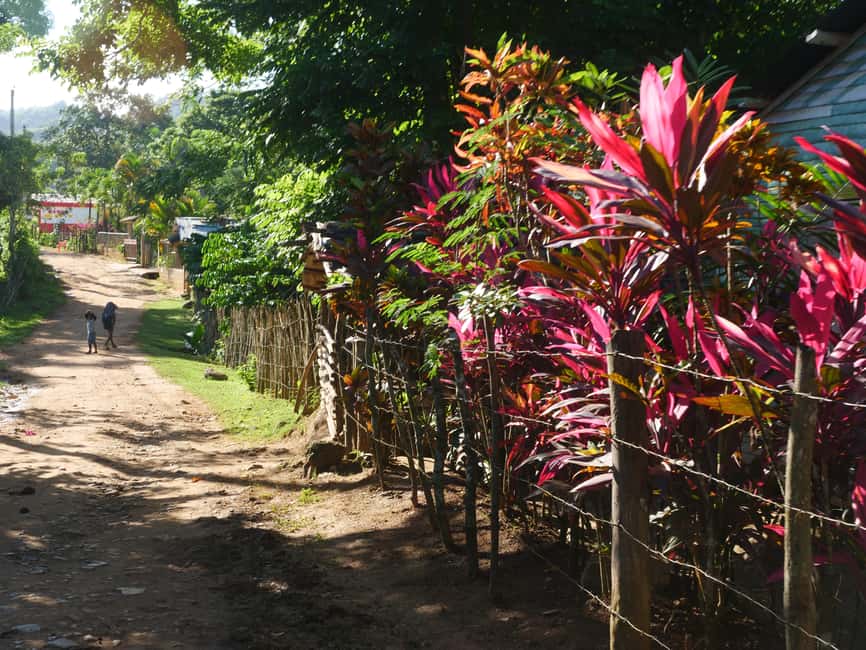 Las Terrenas: El Limón Waterfall Trekking Tour in Samana - Choosing between the adventurous and easier route