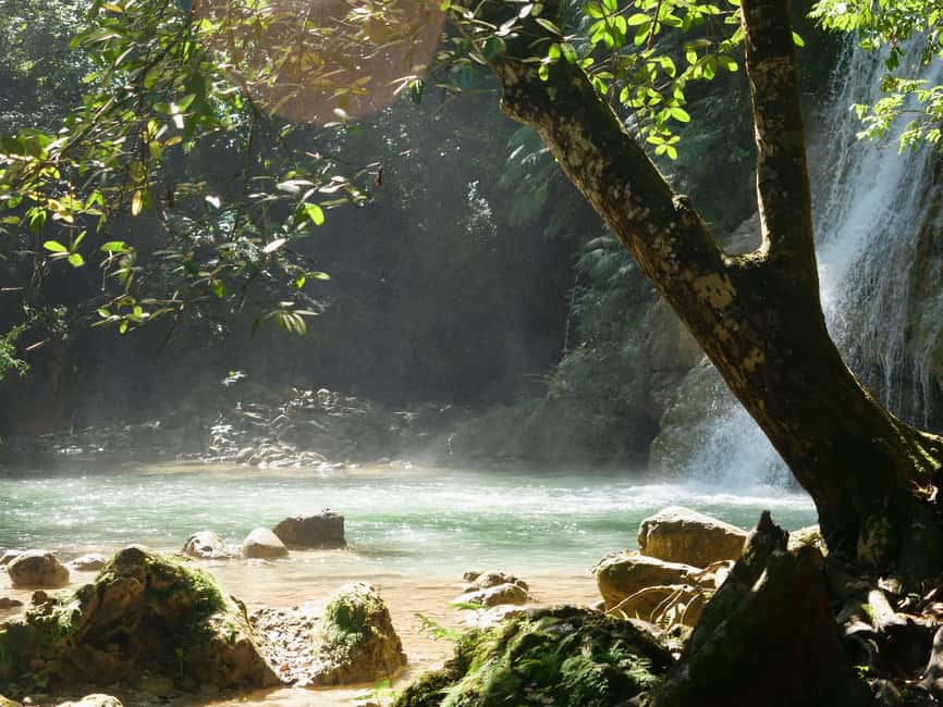 Las Terrenas: El Limón Waterfall Trekking Tour in Samana - Swimming, caves, and the waterfall massage