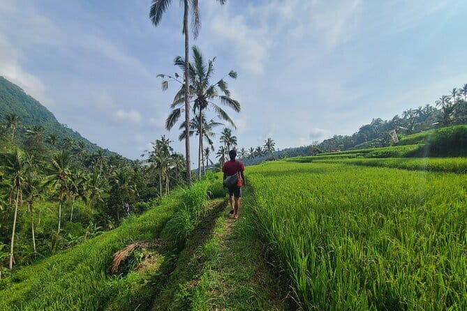 Lemukih Hidden Trekking Waterslide Sekumpul and Fiji Waterfall - Sekumpul Waterfall and the power of water