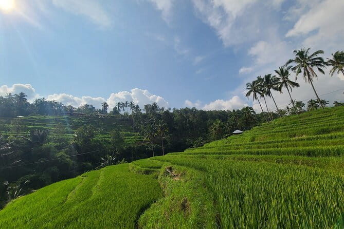 Lemukih Hidden Trekking Waterslide Sekumpul and Fiji Waterfall - Group size, pace, and comfort