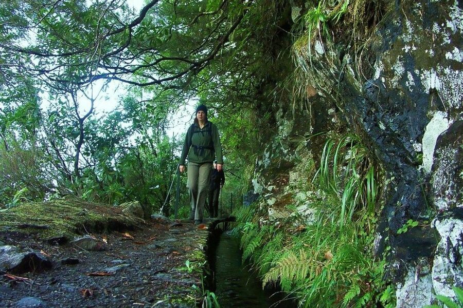 Levada Walk and Caldeirao Verde Waterfalls: Madeira - Key points before you book