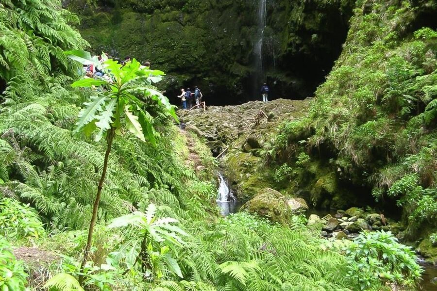 Levada Walk and Caldeirao Verde Waterfalls: Madeira - Starting at Queimadas Forest Park