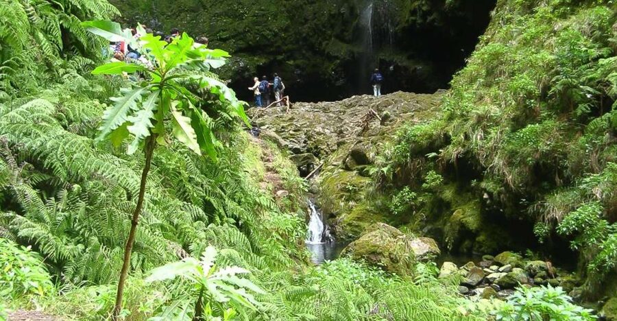Levada Walk and Caldeirao Verde Waterfalls: Madeira - The tunnels and narrow sections