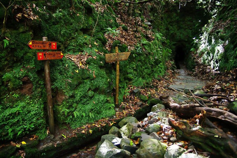 Levada Walk and Caldeirao Verde Waterfalls: Madeira - How weather changes the experience