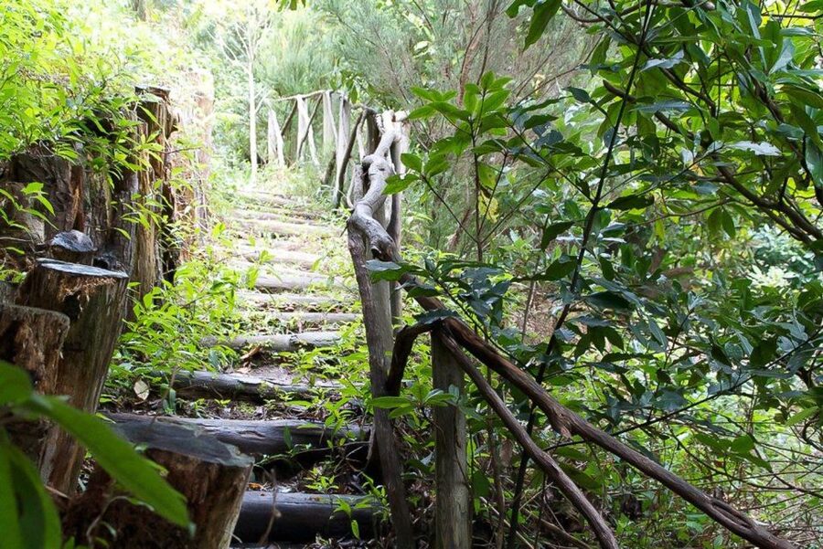 Levada Walk and Caldeirao Verde Waterfalls: Madeira - Guides, equipment, and group rhythm