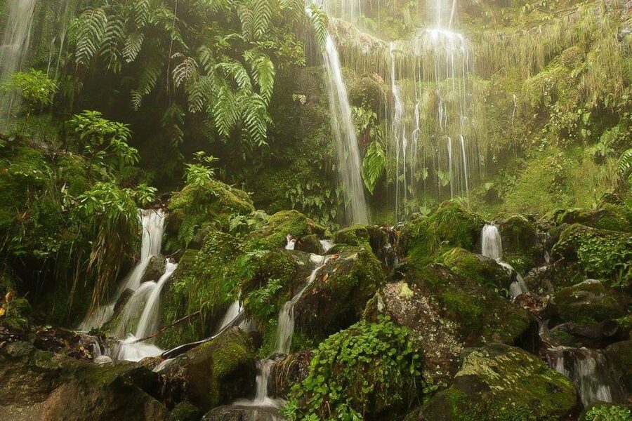 Levada Walk and Caldeirao Verde Waterfalls: Madeira - Following the levada through the forest