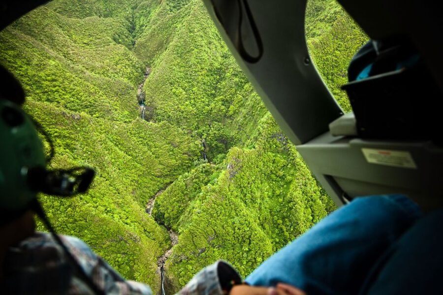 Lihue: Deluxe Waterfall Safari Helicopter Tour - Waimea Canyon’s red folds and wide views