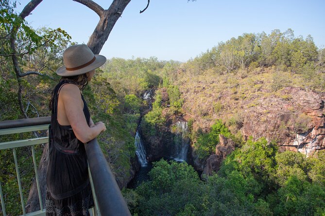 Litchfield National Park Waterfalls & Wildlife Adventure Tour - Magnetic Termite Mounds: a short stop with a strange payoff