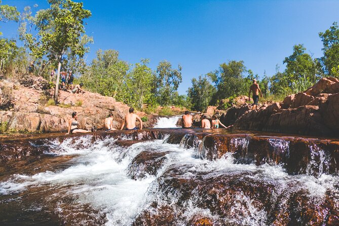 Litchfield National Park Waterfalls & Wildlife Adventure Tour - Fogg Dam: birds, wetlands and a choice to make