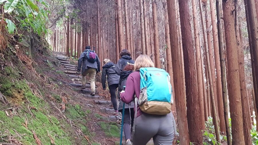 Lomba de São Pedro: Waterfall Hiking Tour with Tea Tasting - Cascata do Homem and the first waterfall