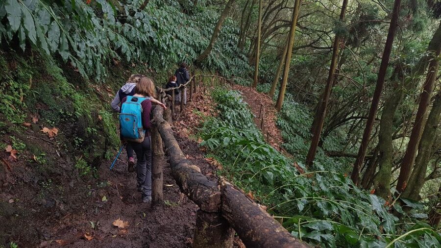 Lomba de São Pedro: Waterfall Hiking Tour with Tea Tasting - Picnic lunch and Ribeira dos Caldeirões
