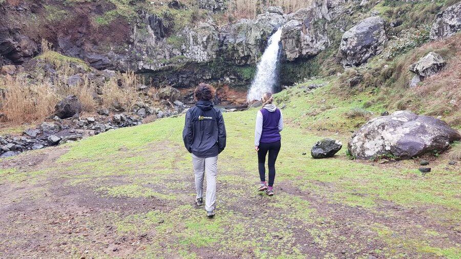 Lomba de São Pedro: Waterfall Hiking Tour with Tea Tasting - Gorreana Tea Plantation starts the day