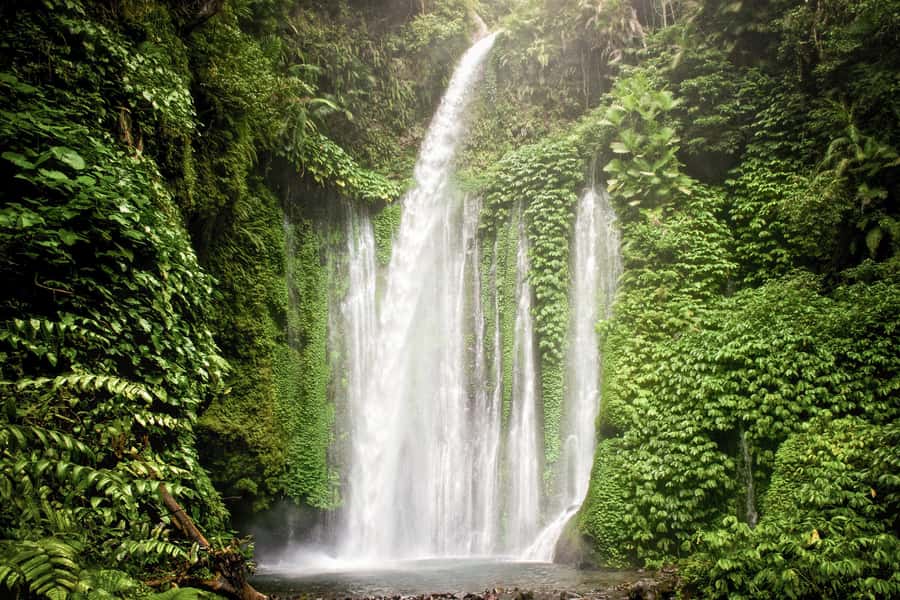 Lombok Spectacular: Waterfalls, Selong Hill & Pusuk Sembalun - Why this Lombok day trip works