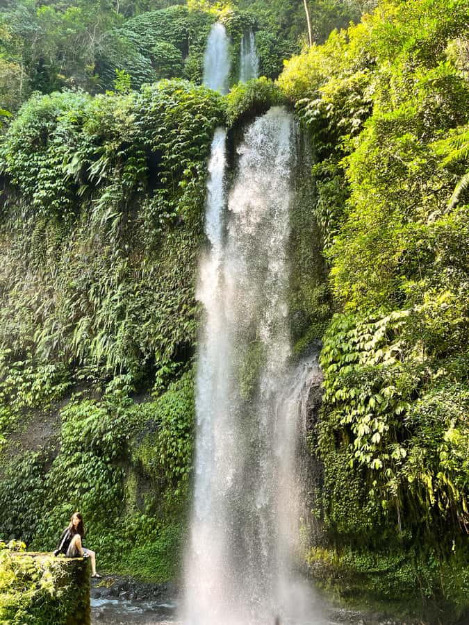 Lombok Spectacular: Waterfalls, Selong Hill & Pusuk Sembalun - Should you book Lombok Spectacular?