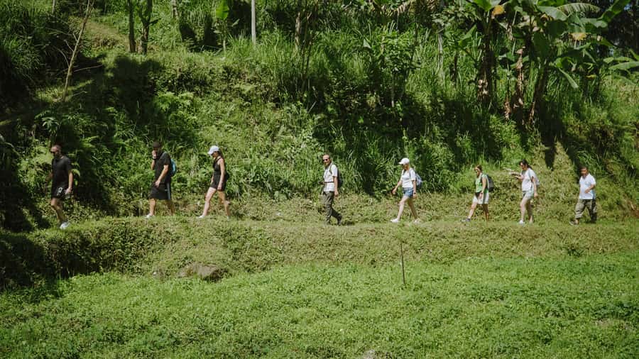 Lombok: Tetebatu Walk, Waterfall, Monkey Forest & Cooking - Looking for black monkeys in the forest