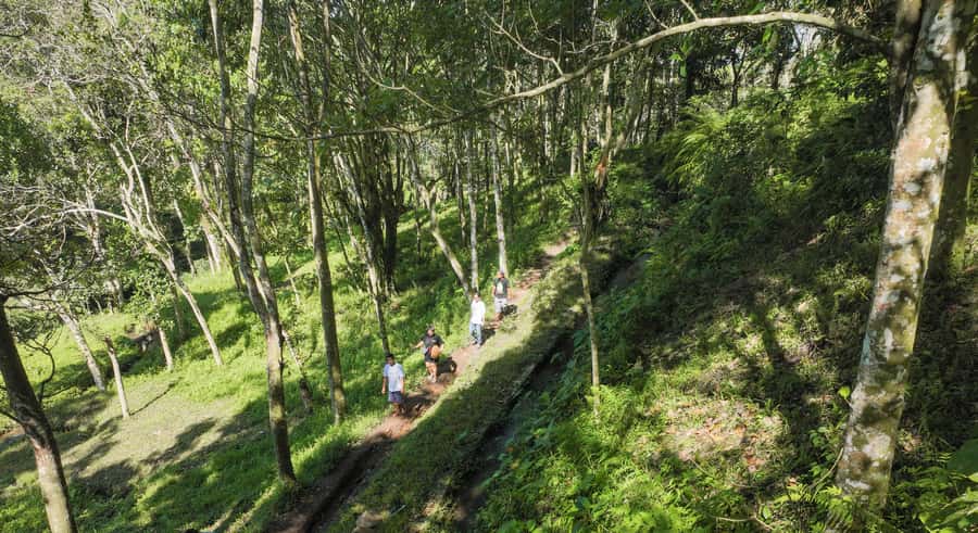 Lombok: Tetebatu Walk, Waterfall, Monkey Forest & Cooking - Starting at Tetebatu’s rice terraces