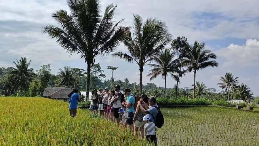 Lombok: Tetebatu Walking Tour with Monkey Forest & Waterfall - What makes this Tetebatu day special