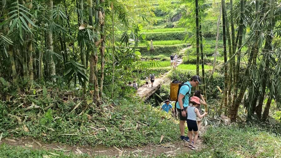 Lombok: Tetebatu Walking Tour with Monkey Forest & Waterfall - Leaving the coast for Tetebatu