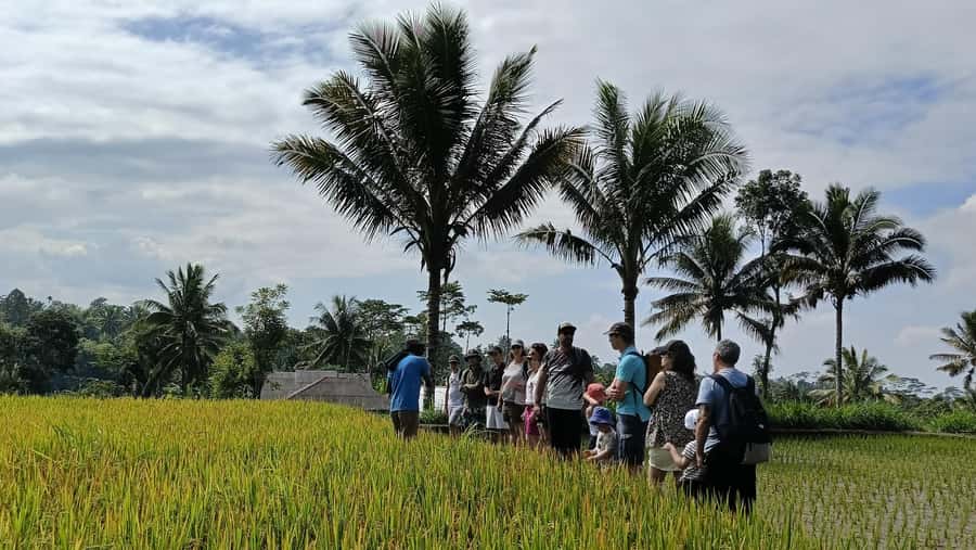 Lombok: Tetebatu Walking Tour with Monkey Forest & Waterfall - Spice plants, coffee, and everyday crops