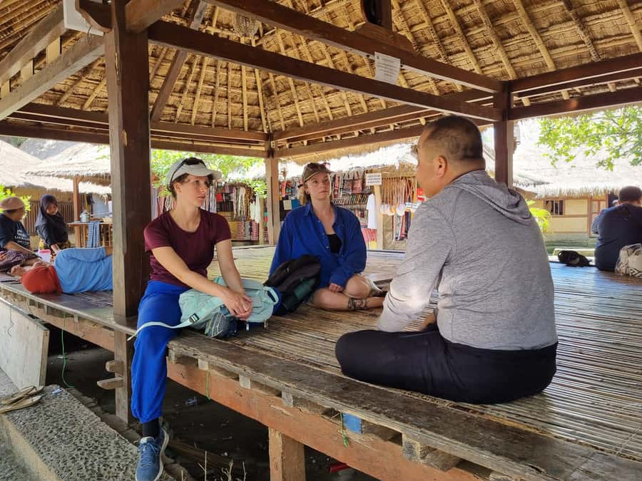 Lombok: Waterfall and Traditional Village Private Tour - Guides, drivers, and the private format