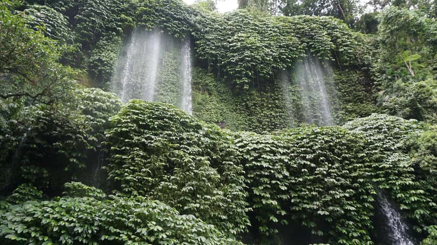 Lombok: Waterfall Benang Kelambu & River Rafting Trip - The Driver Can Shape the Whole Day