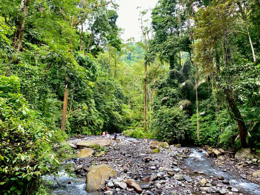 Lombok Waterfall Tour and Panorama Walk - Fitness, clothing, and what to carry