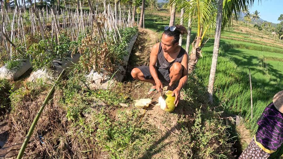 Lombok Waterfall Tour and Panorama Walk - The guides make the difference