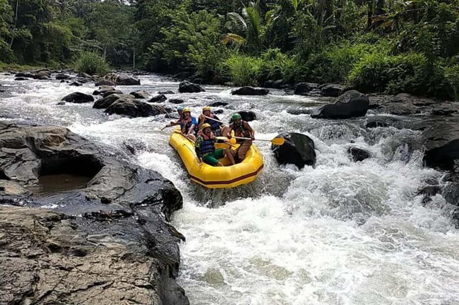 Lombok: White Water Rafting, Rice Terrace & Waterfall Tour - The day in five useful points