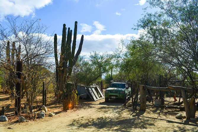 Los Cabos: Hiking at the Fox Canyon with Waterfall - Swimming, natural slides, and waterfall time