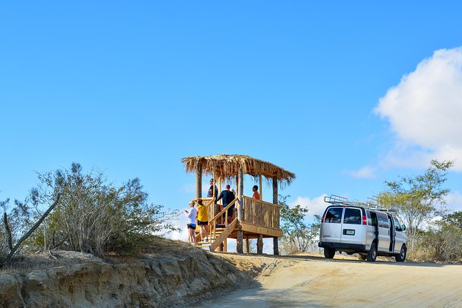 Los Cabos: Hiking at the Fox Canyon with Waterfall - What the guide adds beyond directions