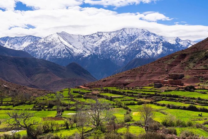 Lunch in the High Atlas: Ourika Valley Waterfalls & 3 Valleys - What the price really buys you