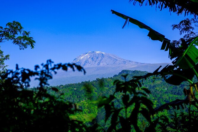 Maasai village visit, Materuni waterfalls & coffee experience - Is $154 per person a good value?