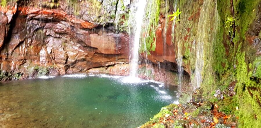 Madeira: Mountain Walk with Lagoon and Waterfalls - Key points before you book
