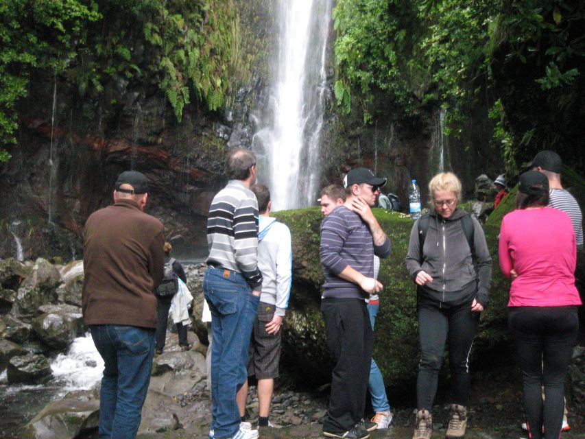 Madeira: Mountain Walk with Lagoon and Waterfalls - Why the Levada das 25 Fontes is worth your day