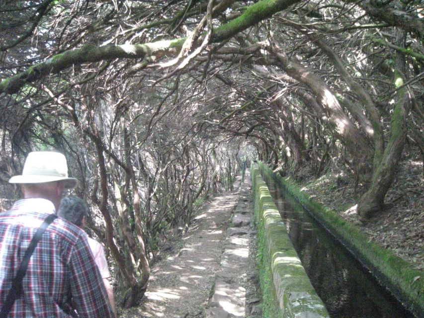 Madeira: Mountain Walk with Lagoon and Waterfalls - Risco waterfall and the road to 25 Fontes