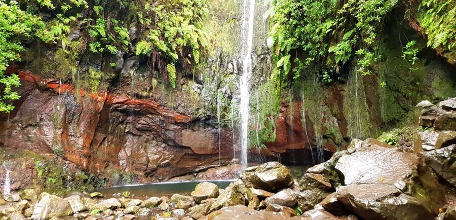 Madeira: Mountain Walk with Lagoon and Waterfalls - Who should book this Madeira walk?