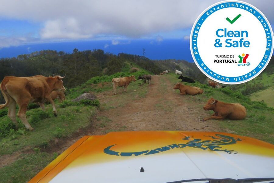 Madeira : Southwest coast, Run & Anjo´s Waterfall 4x4 Tour - Ponta do Sol and Canhas show Madeira’s working side